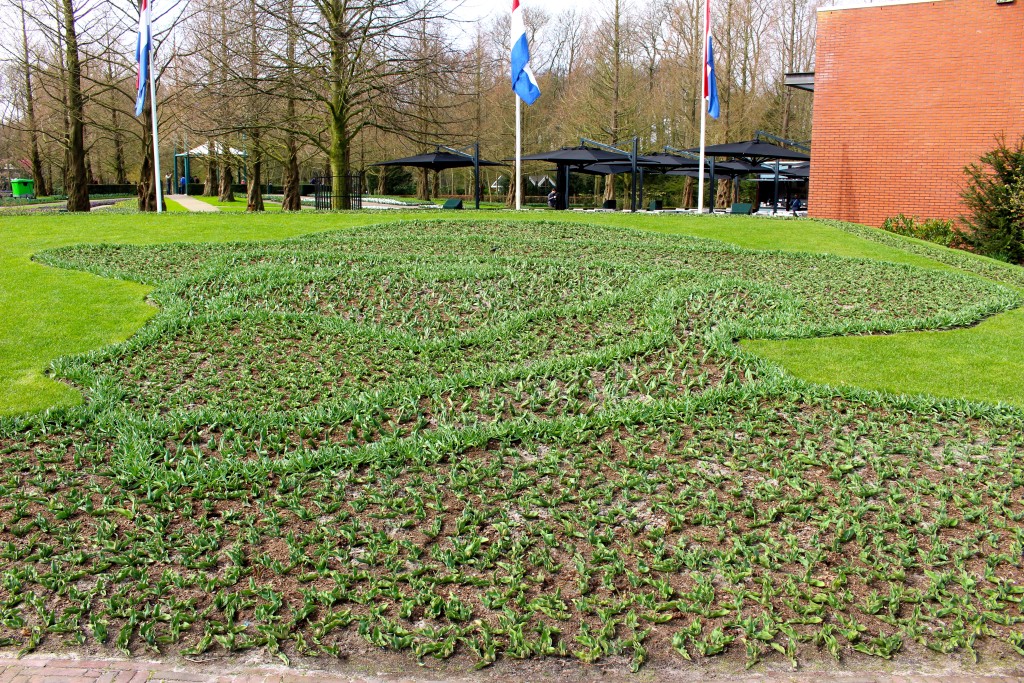 Keukenhof Holland, a giant flower mural of Vincent van Gogh not yet in bloom