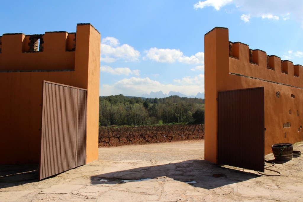 Castlexperience Wine Tours are the best wine tours in Barcelona! Find out why here!