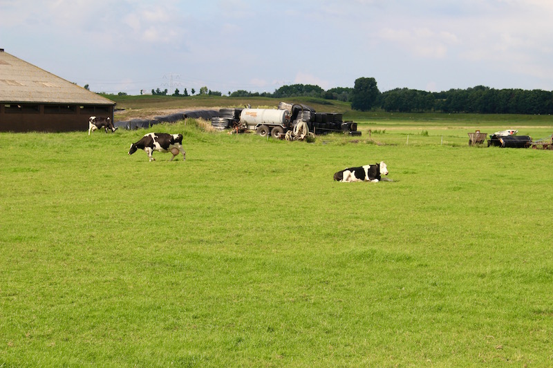 Looking for an unusual day trip from Amsterdam? Why not Naarden! Naarden is a 17th century fortified town about 30 miles east of Amsterdam. 