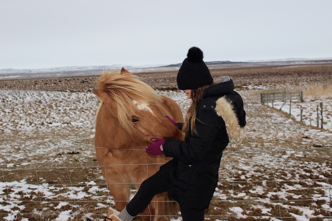 Looking for all the best places along Iceland's Golden Circle? Do it right and see all the top spots with this guide by your side.