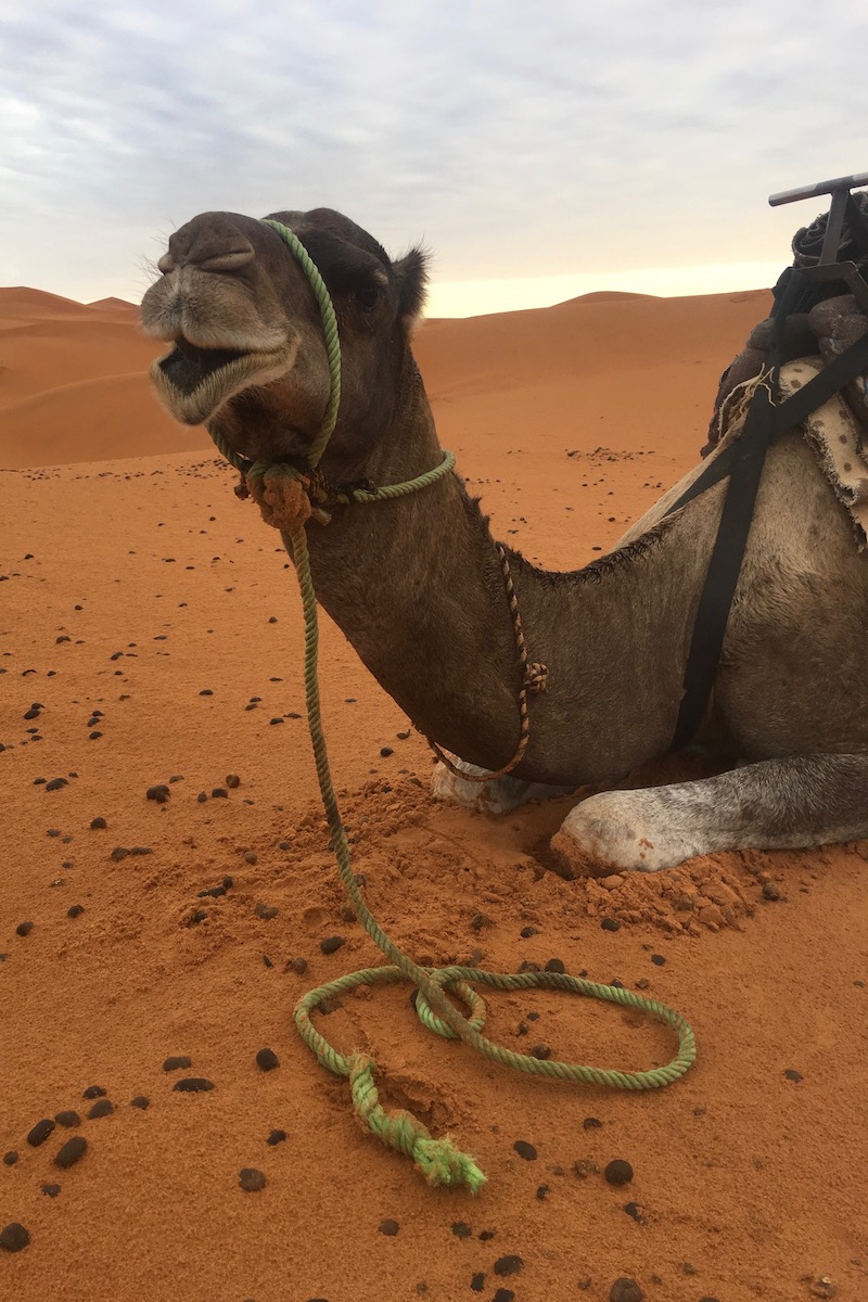 A 4-day Sahara desert tour in Morocco