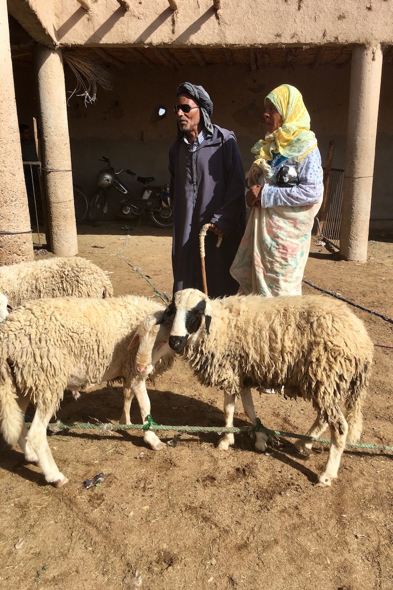 The Rissani market in Morocco