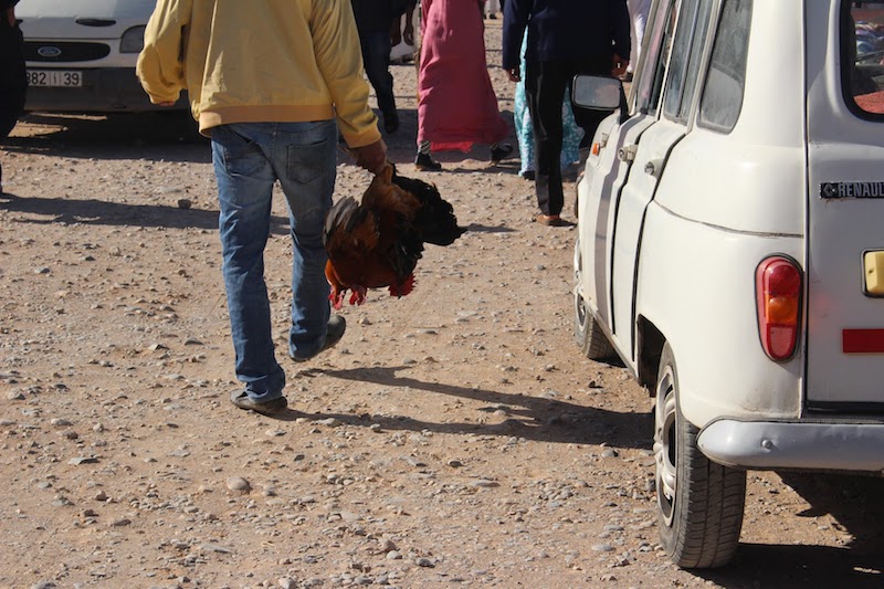 A 4-day Sahara desert tour in Morocco