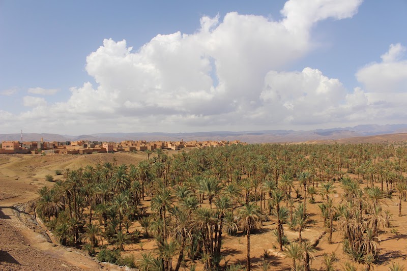 The Rissani market in Morocco