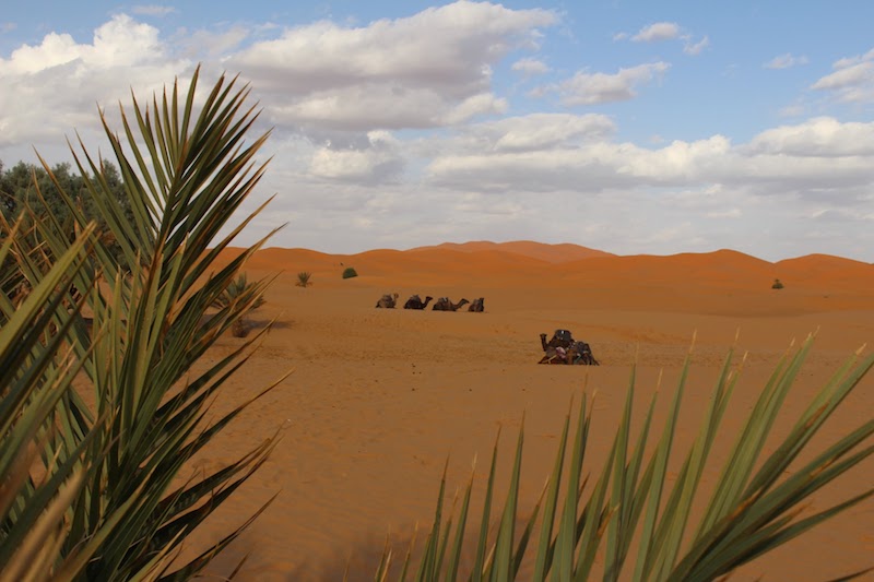 A 4-day Sahara desert tour in Morocco