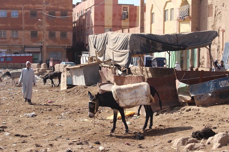 The Rissani market in Morocco