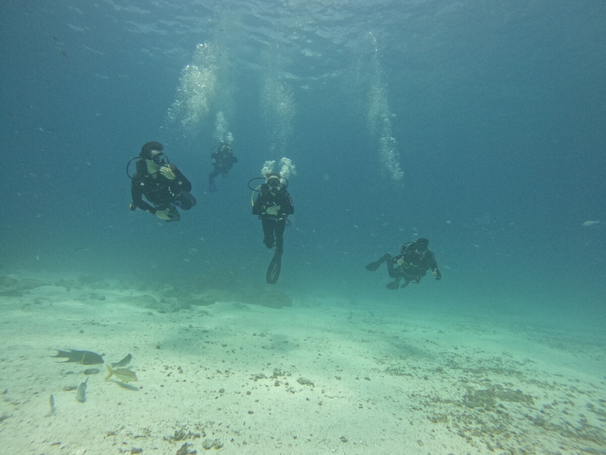 Divers at Mosquera Island