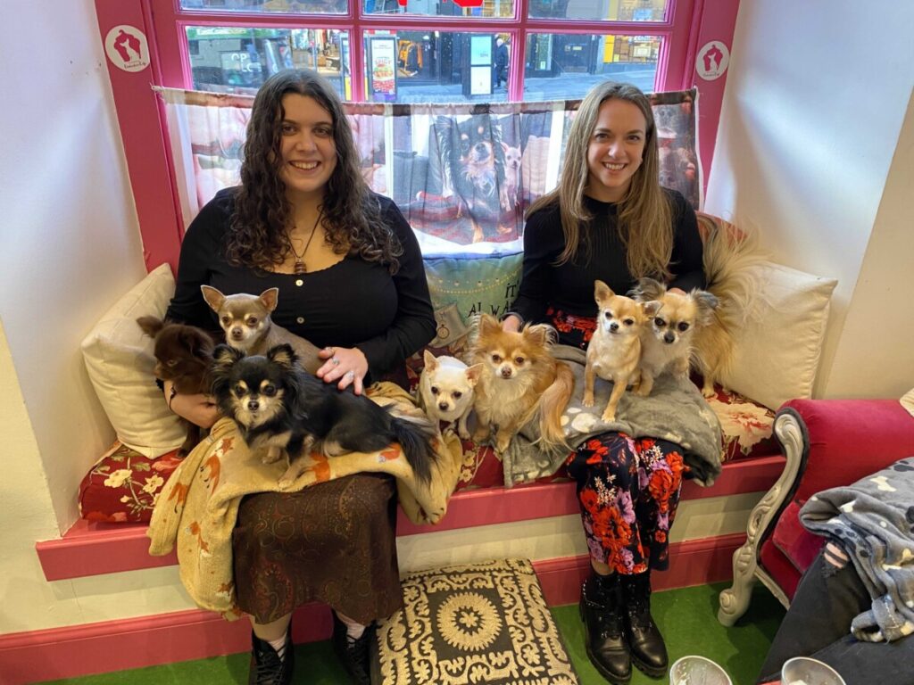 My cousin and I at the Chihuahua Cafe in Edinburgh with all the chihuahuas posed on our laps