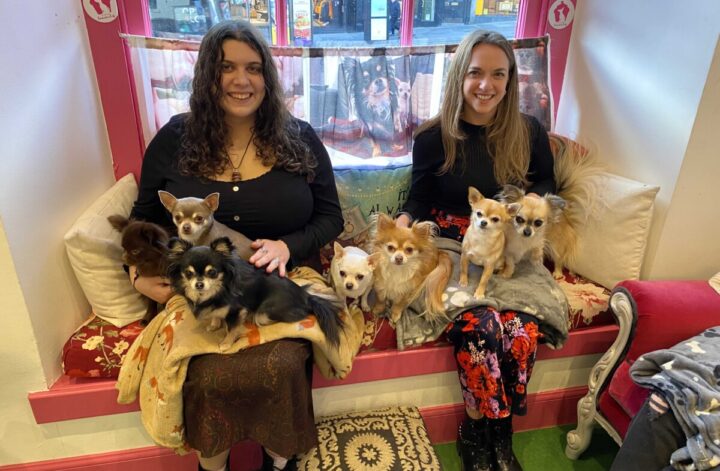My cousin and I at the Chihuahua Cafe in Edinburgh with all the chihuahuas posed on our laps