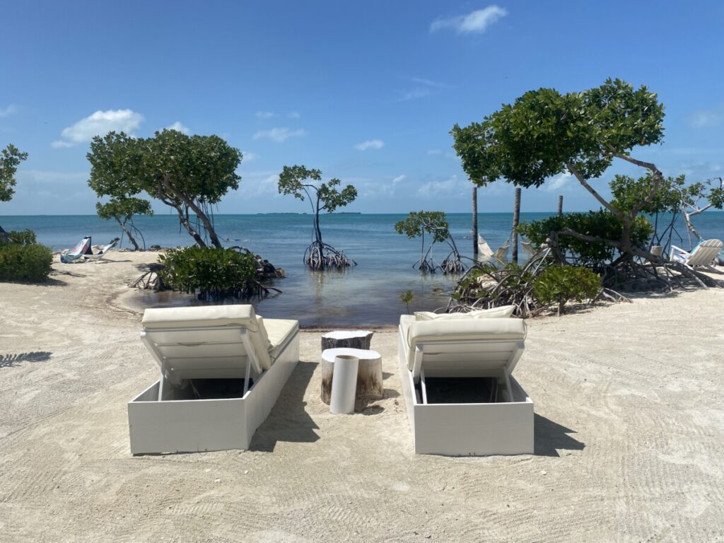 2 lounge chairs on the beach