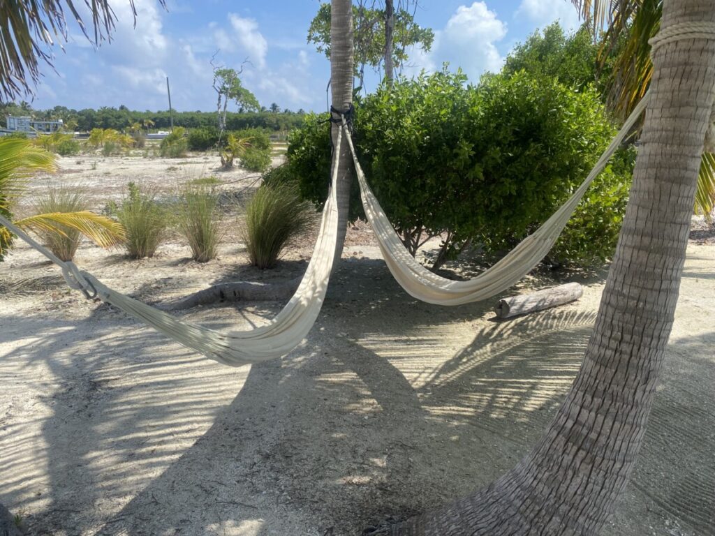 2 white hammocks on the beach