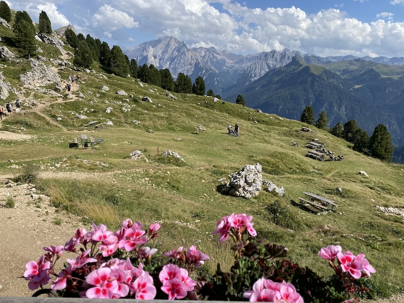 A view during hiking in the Dolomites with pink flowers in the forefront
