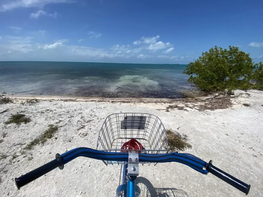 A bike with water in the distance
