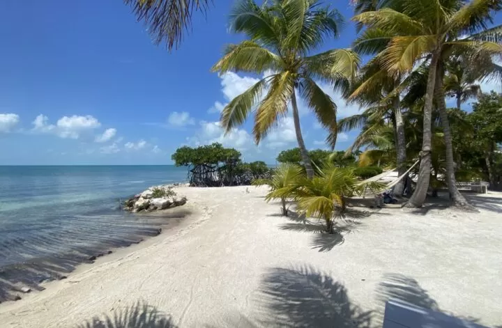 Crystal clear blue water, white sand a a palm tree in the distance